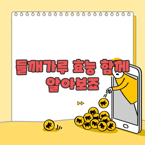 들깨가루 효능 함께 알아보죠