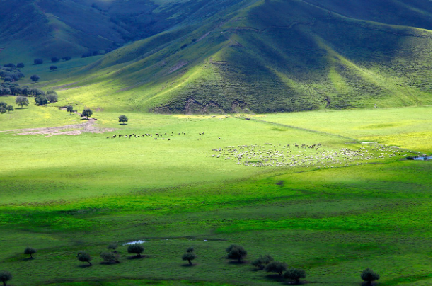 몽골 내륙지방 사진
