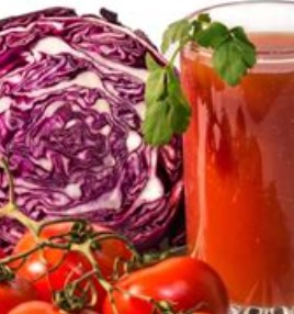 저속노화 최신 연구 정리|과학으로 늦추는 노화의 속도