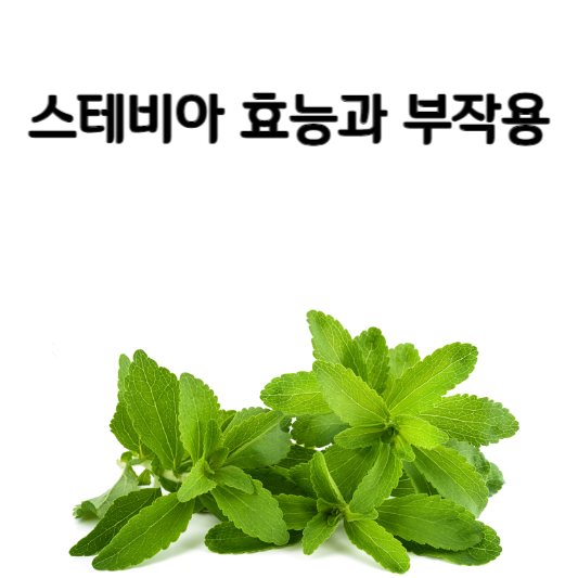 스테비아 효능과 부작용