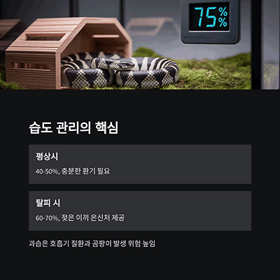 습도 조절 – 과습은 금물, 탈피기만 보습 강화