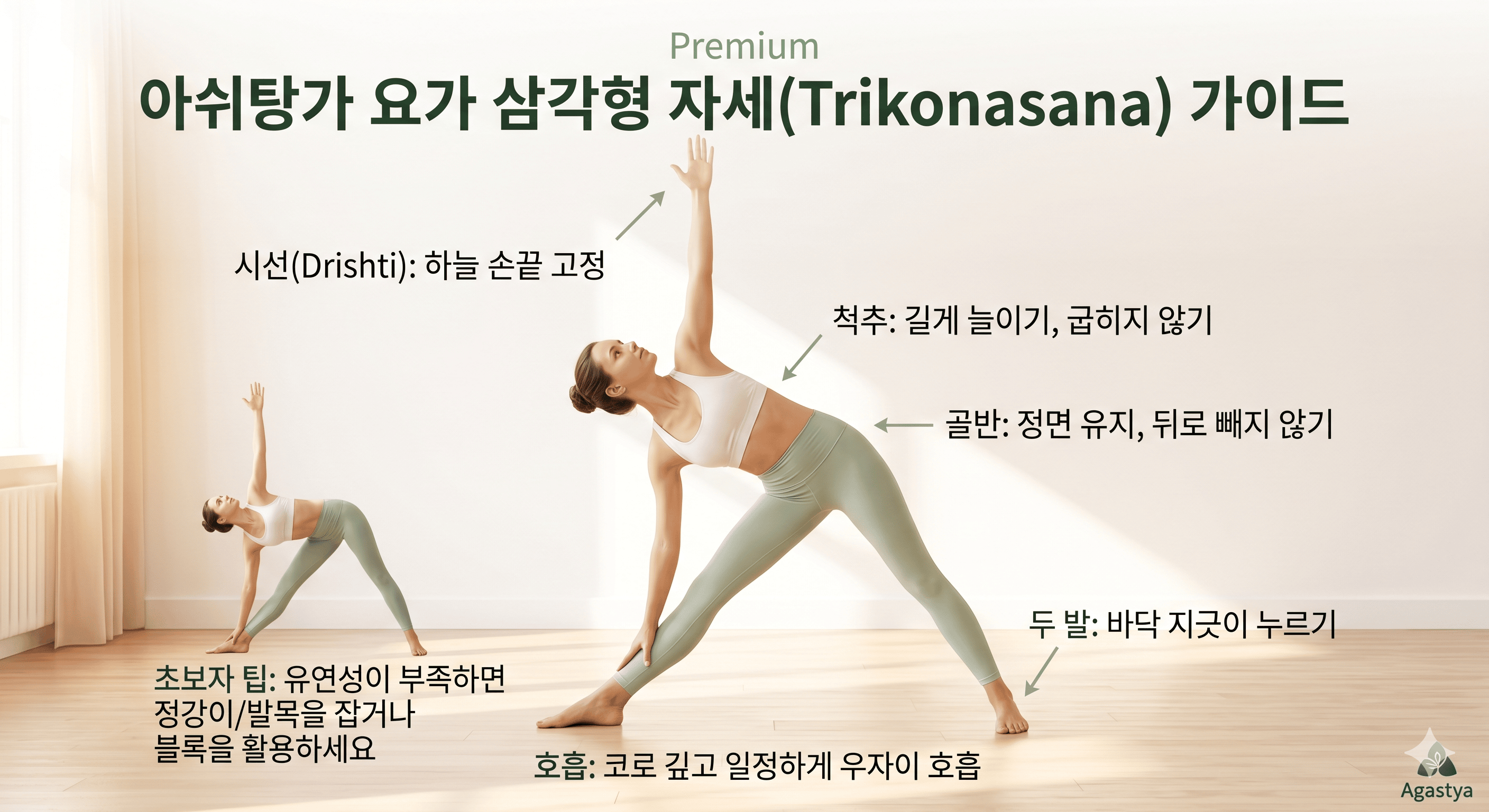 아쉬탕가 요가 삼각형 자세 초보자 정렬법 및 효과 가이드