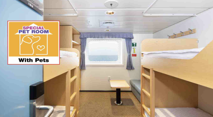 강아지와배로제주도가기한일고속페리 펫서비스