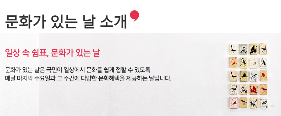 문화의날 할인