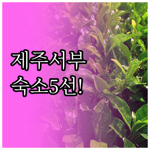 제주 서부 여행 안덕 대정 숙소 5곳..