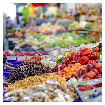 민생회복지원금1