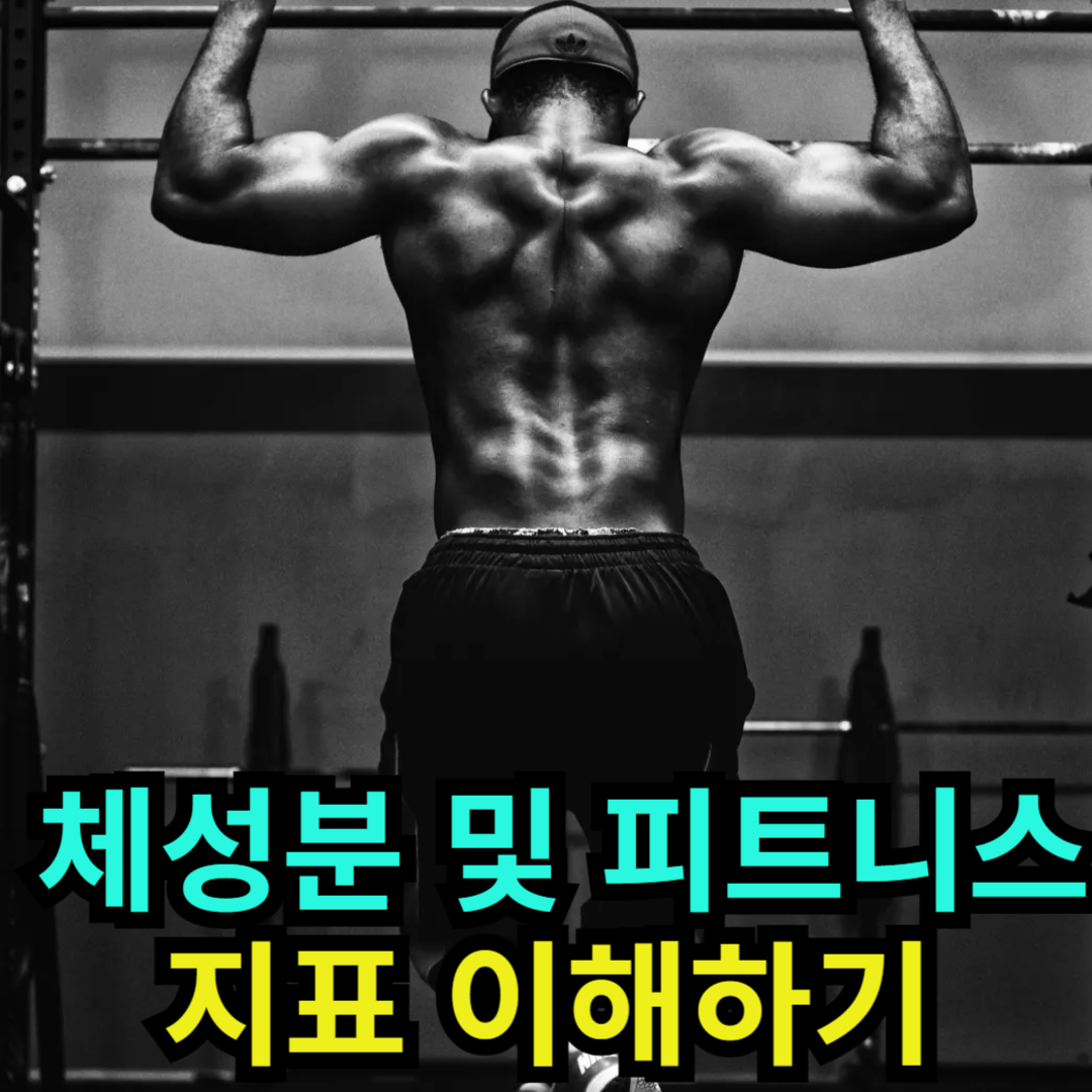 체성분 및 피트니스 지표 이해하기