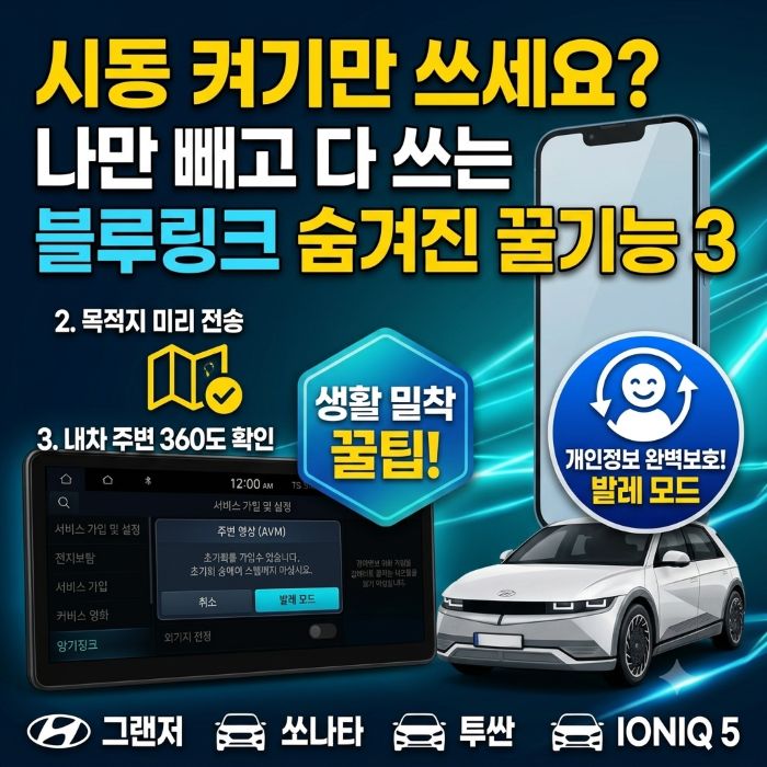 블루링크 숨겨진 꿀기능 3가지