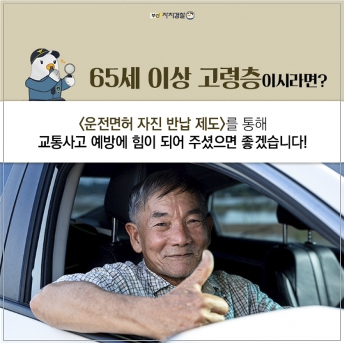부산시 운전면허 반납 혜택 안내