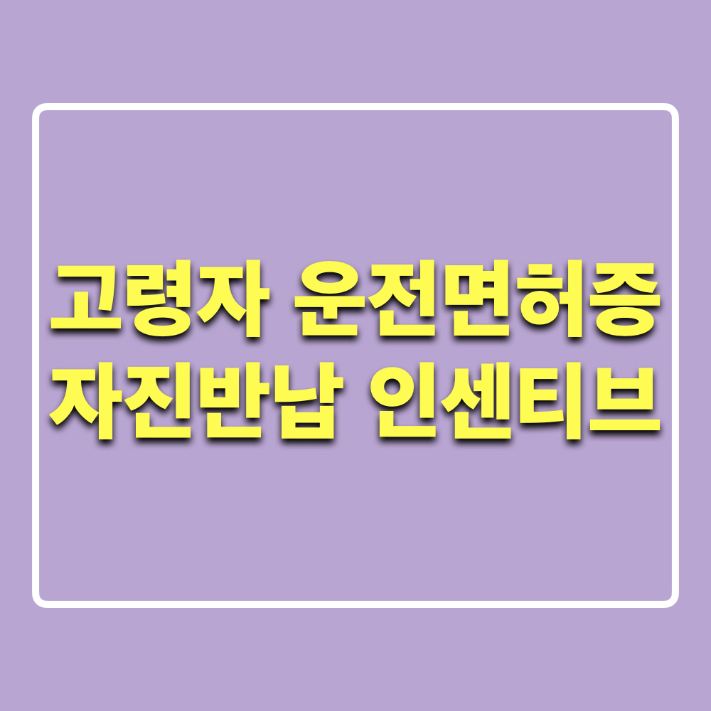 연제구_고령자_운전면허_자진반납_인센티브