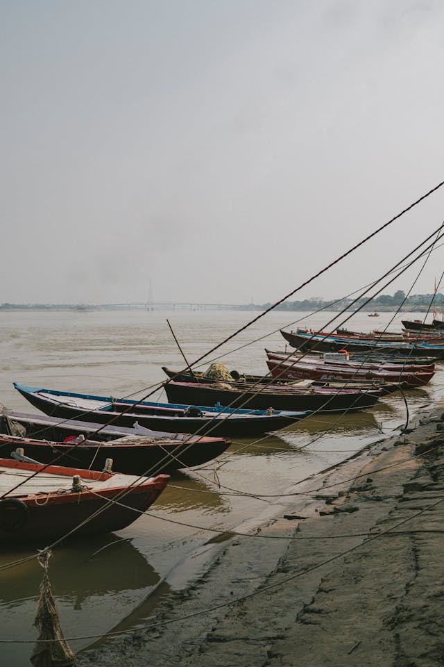 수로 문화의 몰락