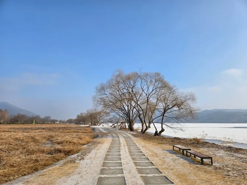 남양주 반려견 겨울 나들이 명소, 강아지와 함께 산책하기 좋은 곳 추천