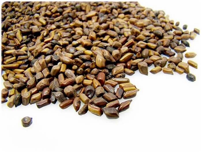 간 간암에 좋은 음식 안좋은 음식