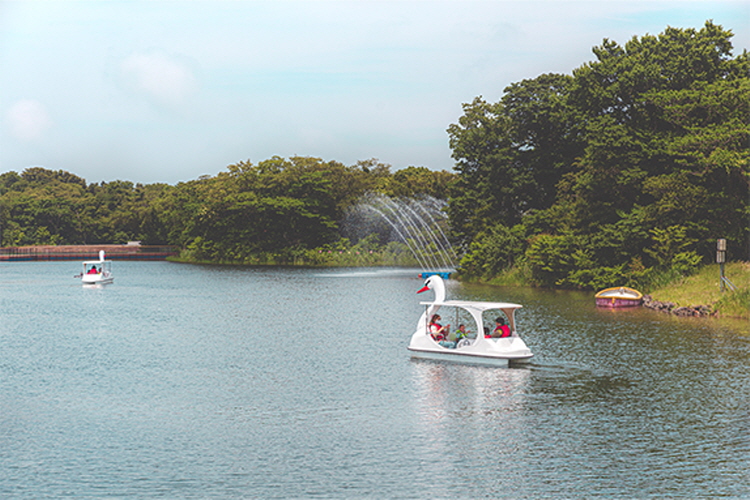 제주 에코랜드 테마파크