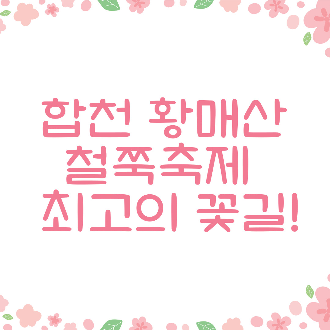 합천 황매산 철쭉축제