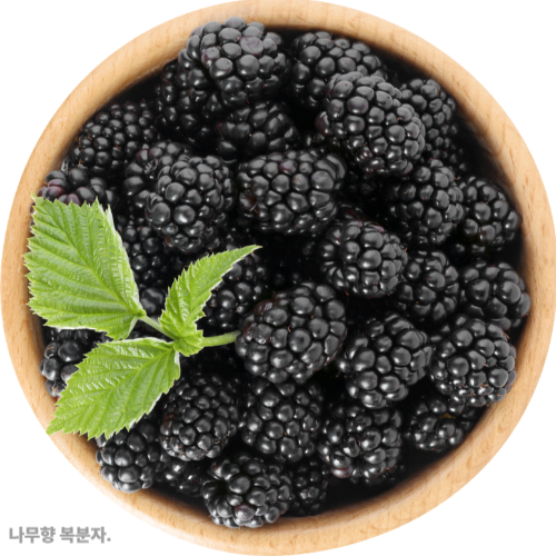 복분자