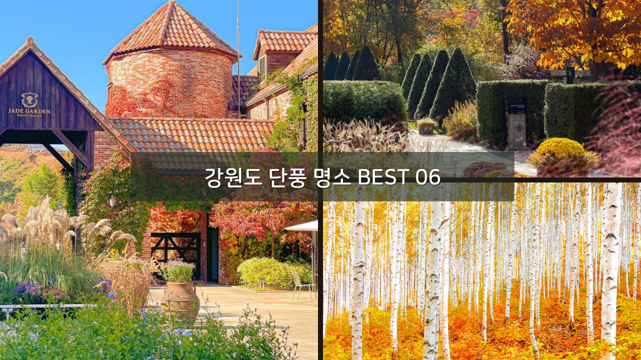 아름다운 강원도 단풍 명소 BEST 06 가볼만한곳