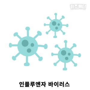 독감 인플루엔자 진단 치료