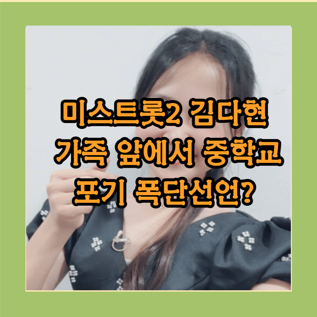김다현 출현료