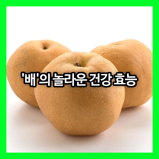기침 뚝, 다이어트에도 굿! 제철 맞은 과일 '배'의 놀라운 건강 효능