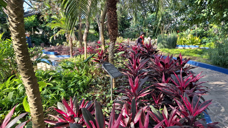 제주여행_여미지식물원