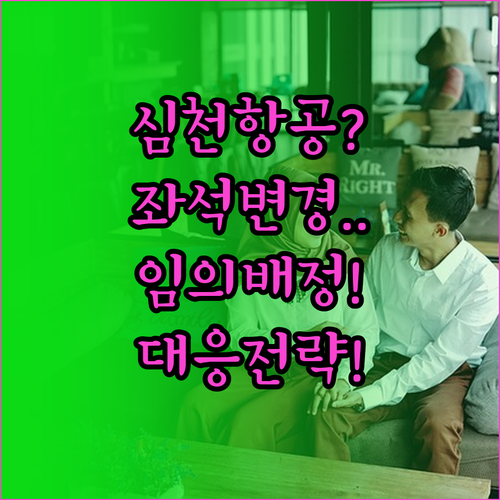 심천항공 좌석 변경과 항공사 임의 배..