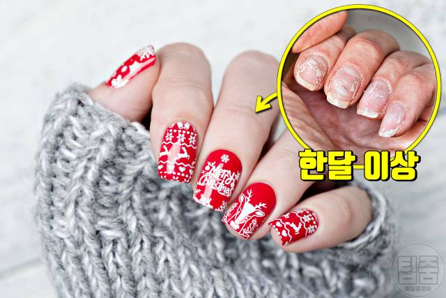 손톱 갈라짐 이유 손톱부러짐