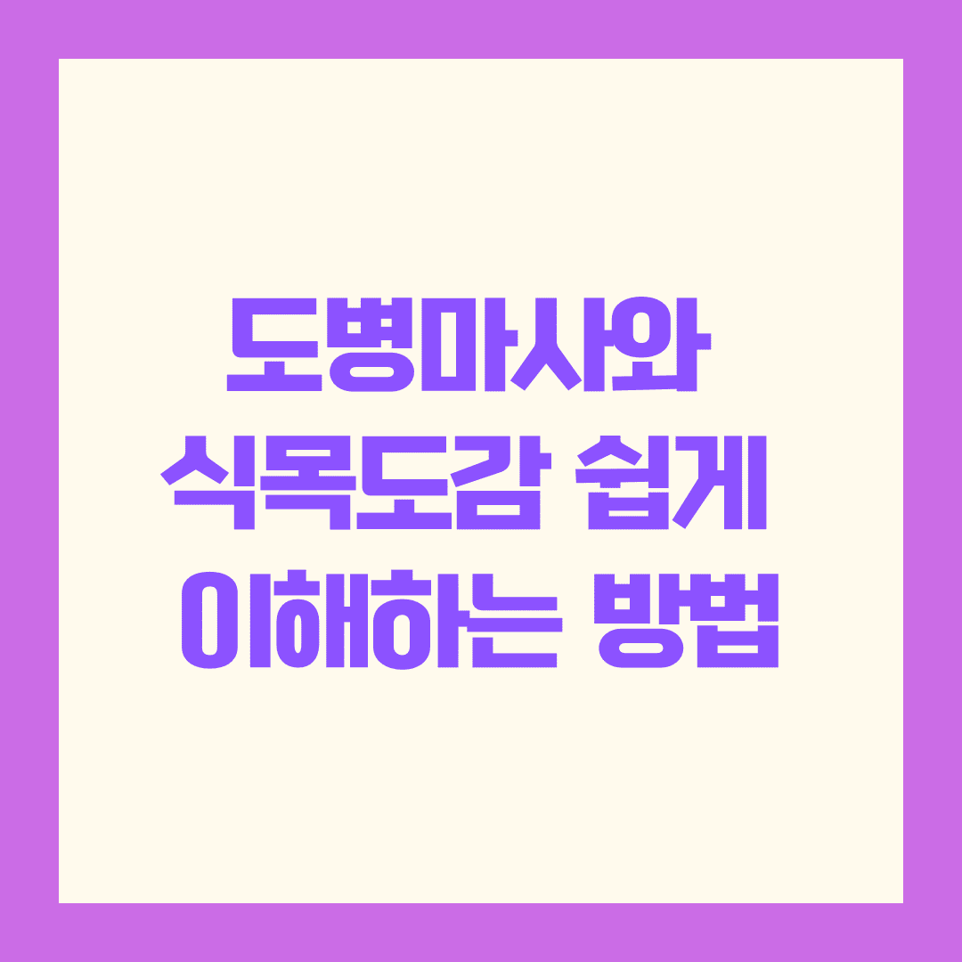 도병마사와 식목도감 기능 비교 🏯 고려시대 국가 운영의 양대 축