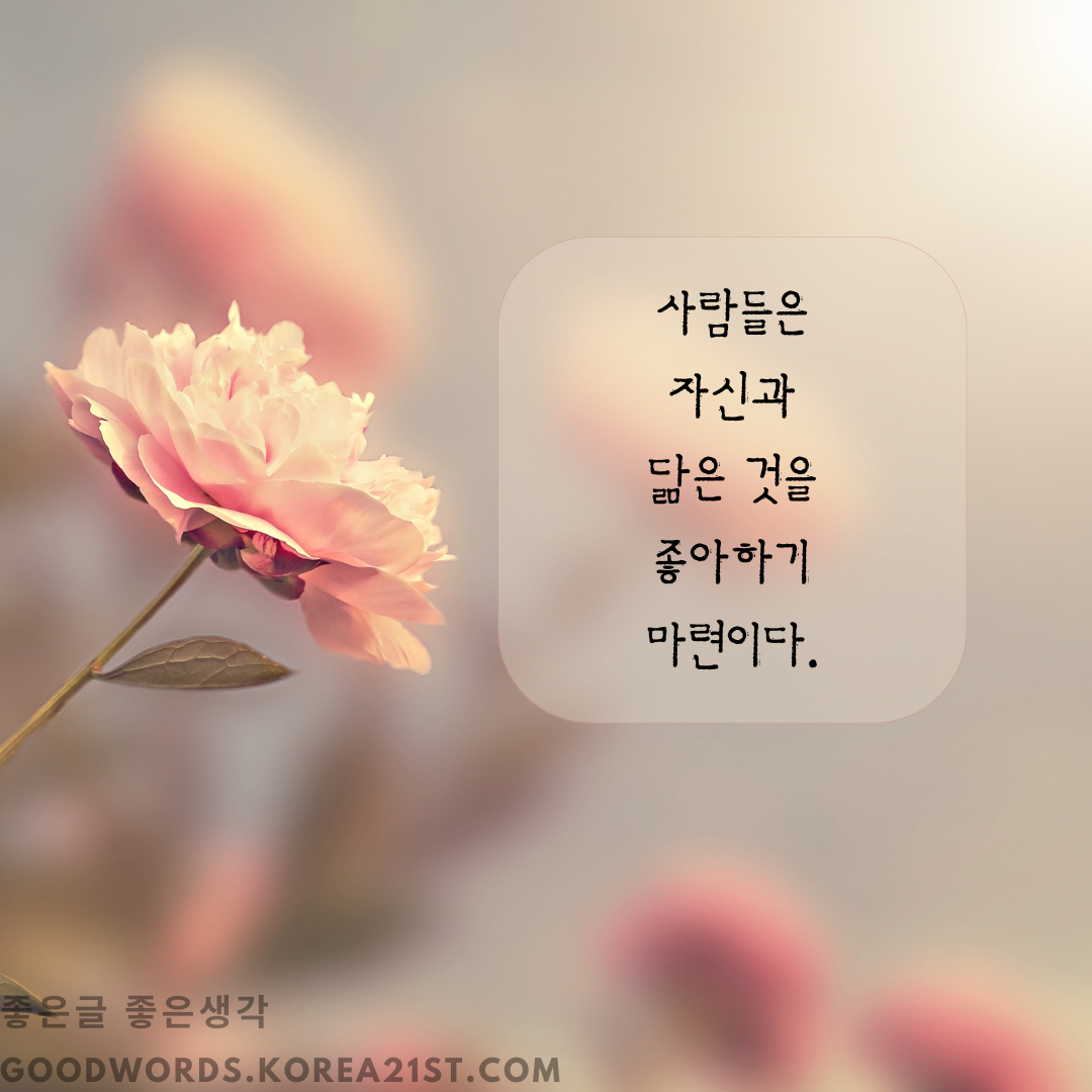 쇼펜하우어 명언 모음 좋은 글귀