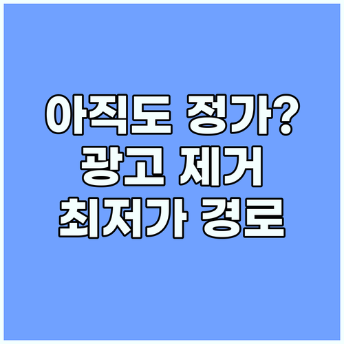 유튜브 프리미엄 광고 없는 시청을 위..