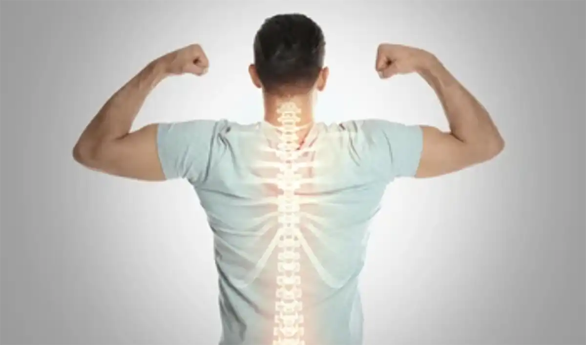 사람뒷모습-뼈이미지-운동-근육