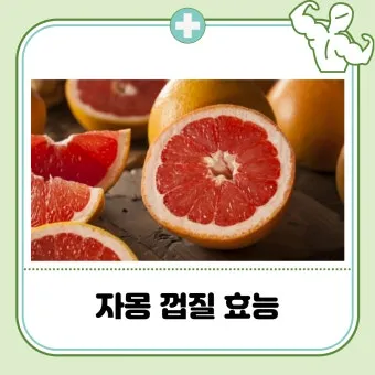 자몽 효능과 건강 효과_20