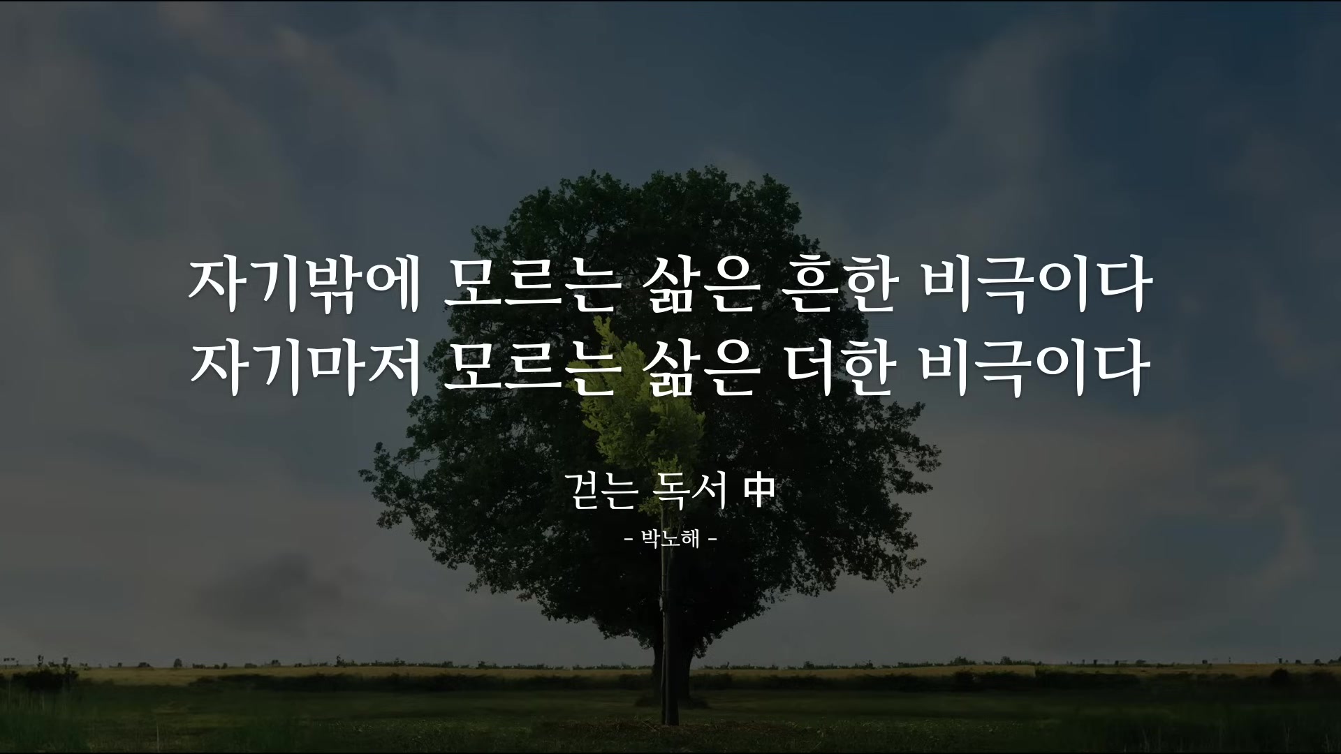 자기밖에 모르는 삶은 흔한 비극이다. 자기마저 모르는 삶은 더한 비극이다.
