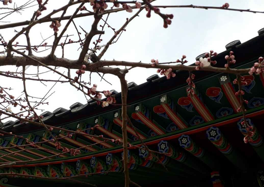 한국기행 제철을 드세요 강릉 사찰 용연사