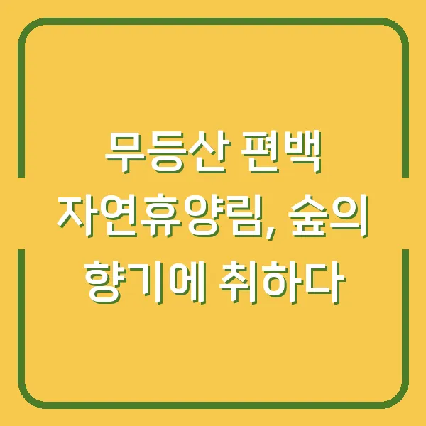 무등산 편백 자연휴양림, 숲의 향기에 취하다
