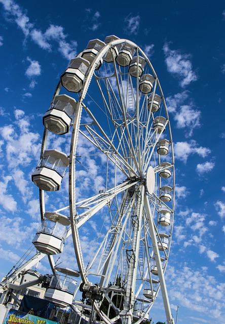 이월드 자유이용권