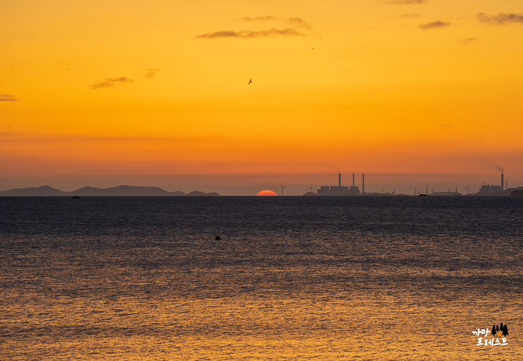 궁평항 일몰