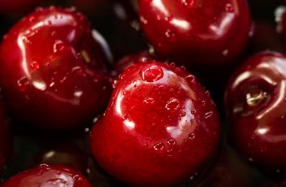 설빙 창업에 대하여 알아보기