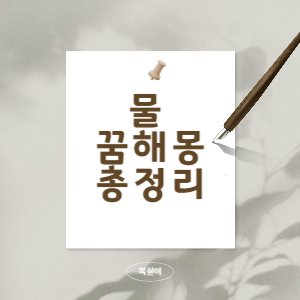 물꿈해몽정리본