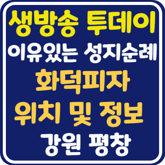 생방송 투데이 대관령 화덕피자 위치 및 정보 : 이유있는 성지순례