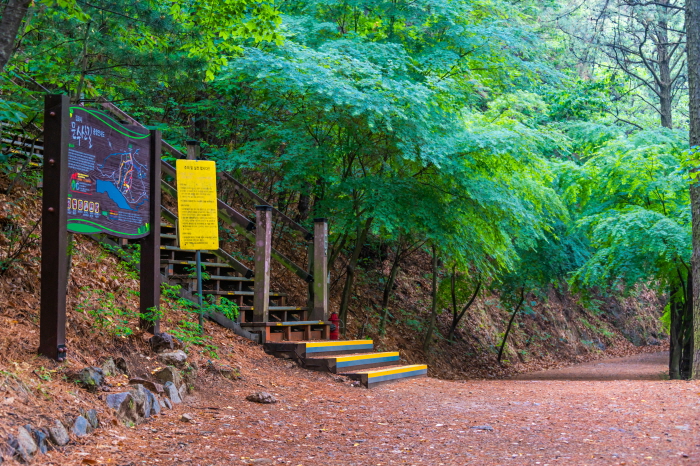 문수산 정상을 향하여