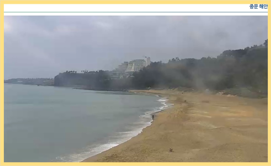 제주도 실시간 CCTV 영상