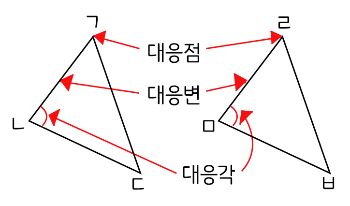 합동인 두 삼각형에서 대응점, 대응변, 대응각을 나타냄.