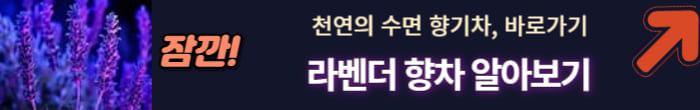 라벤더 향차
