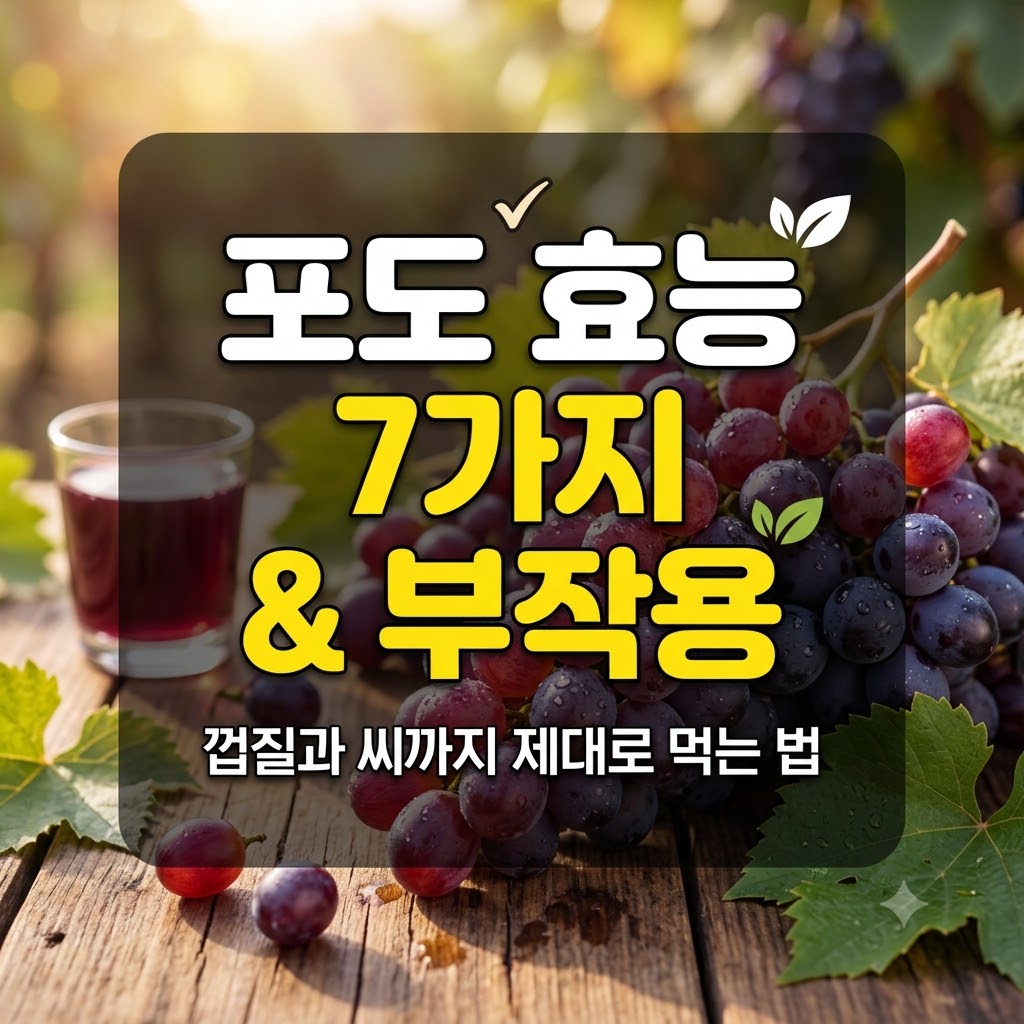 포도 효능