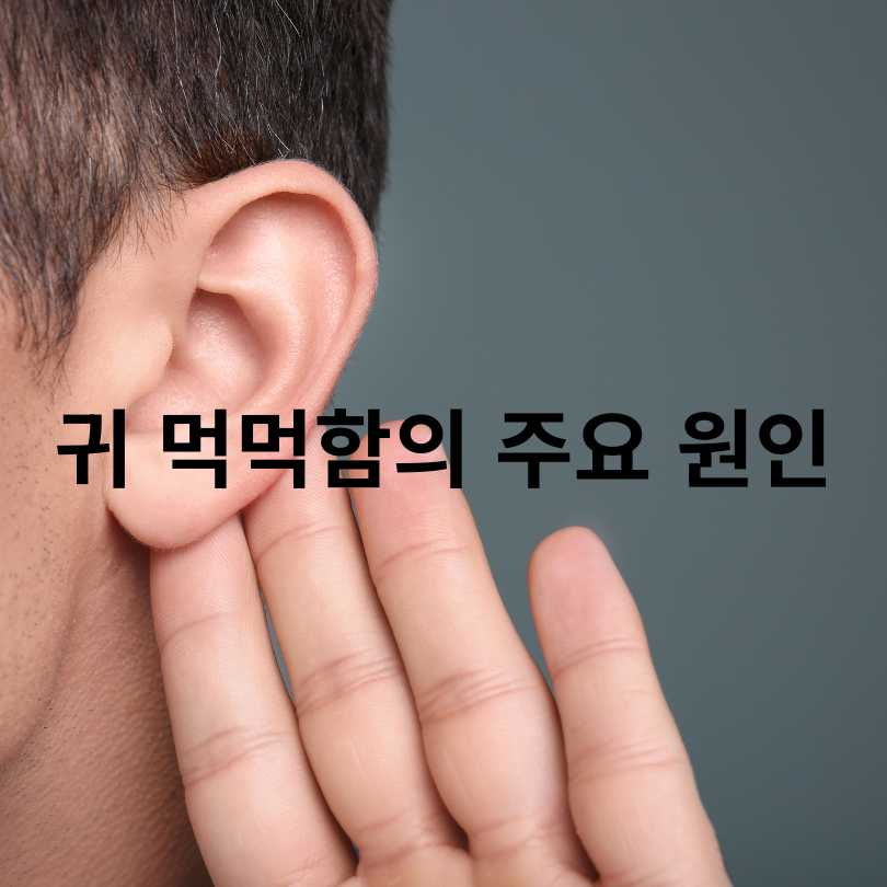 귀 먹먹함 원인과 해결 방법 완벽 정리