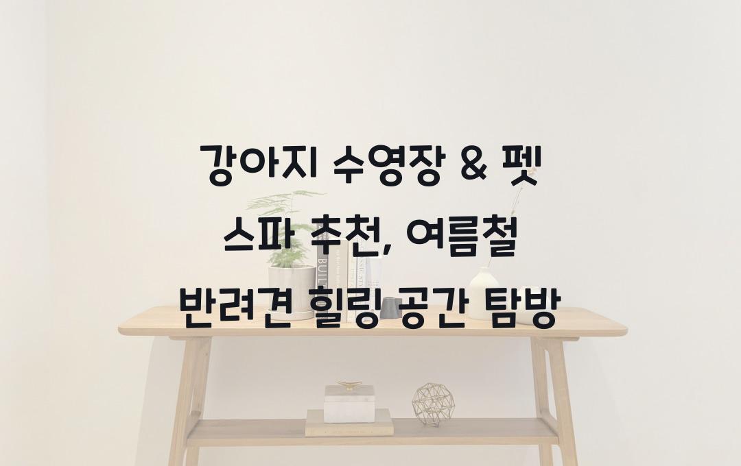 강아지 수영장 & 펫 스파 추천, 반려견과 즐기는 여름철 힐링 공간