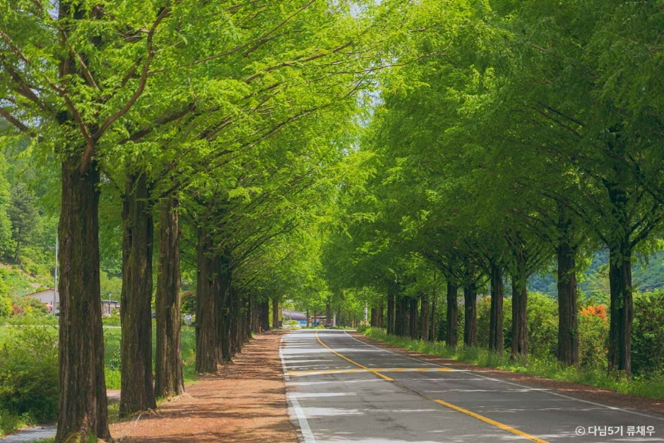 진안 가볼만한곳 베스트10