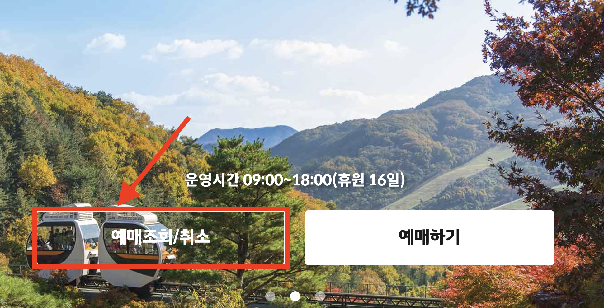 화담숲예약취소