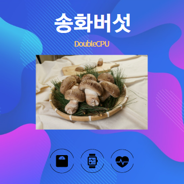 송화버섯 알아보기